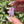 Load image into Gallery viewer, Mini Spinner Flower Pendant Mauve Purple
