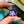 Load image into Gallery viewer, Mini Floral Moon Pendant Hyacinth

