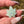 Load image into Gallery viewer, Mini Canna Leaf Pendant Mint
