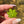 Load image into Gallery viewer, Mini Canna Leaf Pendant Green
