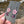 Load image into Gallery viewer, Moonflora Earrings - Pink (Blush &amp; Telemagenta)
