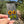 Load image into Gallery viewer, Sunflower Earrings with Leaf Charms #2
