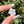 Load image into Gallery viewer, Pastel Rainbow Dichro Flower Pendant White
