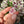 Load image into Gallery viewer, Heart Opal &amp; Luster Flower Pendant Bubblegum
