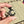 Load image into Gallery viewer, Moon Spinner Black &amp; Gold
