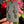 Load image into Gallery viewer, Flower &amp; Crystal Point Earrings Wildberry &amp; Parallax (CFL reactive)
