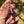 Load image into Gallery viewer, Flower Blade Pendant Royal Jelly
