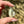 Load image into Gallery viewer, Sparkle Moon Spinner All CFL Reactive
