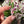 Load image into Gallery viewer, Heart Opal &amp; Luster Flower Pendant Bubblegum
