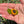 Load image into Gallery viewer, Sunflower &amp; Leaves Necklace
