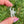 Load image into Gallery viewer, Mini Spinner Flower Pendant White Satin and Glopal (UV reactive)
