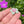 Load image into Gallery viewer, Cubic Zirconia Flower Pendant Blush and Mint
