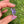 Load image into Gallery viewer, Mini Spinner Flower Pendant Purple Satin and Lavender
