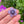 Load image into Gallery viewer, Cubic Zirconia Flower Pendant Wildberry and Purple Satin
