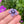 Load image into Gallery viewer, Cubic Zirconia Flower Pendant Wildberry and Purple Satin
