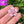 Load image into Gallery viewer, Cubic Zirconia Flower Pendant Blush and Bubblegum
