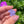 Load image into Gallery viewer, Cubic Zirconia Flower Pendant Purple Satin
