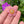 Load image into Gallery viewer, Cubic Zirconia Flower Pendant Yellow and Blush
