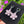 Load image into Gallery viewer, Cubic Zirconia Flower Earrings Bubblegum
