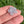 Load image into Gallery viewer, Dichro Flower Pendant Mini Gunmount Blue
