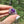 Load image into Gallery viewer, Mini Spinner Flower Pendant Royal Jelly &amp; Opal Lavender
