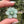 Load image into Gallery viewer, Mini Spinner Flower Pendant Mint
