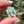 Load image into Gallery viewer, Mini Spinner Flower Pendant Mint

