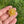 Load image into Gallery viewer, Mini Spinner Flower Pendant Golden Yellow
