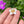 Load image into Gallery viewer, Cubic Zirconia Flower Pendant Yellow and White
