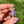 Load image into Gallery viewer, Mini Spinner Flower Pendant Pastel Blue and Lavender
