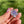 Load image into Gallery viewer, Mini Spinner Flower Pendant Pastel Blue and Lavender
