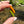 Load image into Gallery viewer, Sunflower Glass Pendant with Leaf 2
