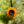 Load image into Gallery viewer, Sunflower Glass Pendant
