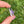 Load image into Gallery viewer, Mini Spinner Flower Pendant Bubblegum Lavender
