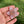Load image into Gallery viewer, Sparkly Spinning Flower Pendant - Pastel Pink with Zirconia center
