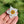 Load image into Gallery viewer, Sparkly Spinning Flower Pendant - Daisy with Zirconia center
