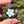 Load image into Gallery viewer, Sparkle Moon Spinner Gold Black White
