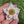 Load and play video in Gallery viewer, Sparkly Spinning Flower Pendant - Daisy with Zirconia center
