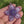 Load and play video in Gallery viewer, Sparkly Spinning Flower Pendant - Pastel Purple with Zirconia center
