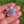 Load and play video in Gallery viewer, Mini Spinner Flower Pendant Bubblegum Lavender

