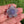 Load and play video in Gallery viewer, Mini Spinner Flower Pendant Pastel Blue and Lavender
