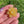 Load and play video in Gallery viewer, Mini Spinner Flower Pendant Golden Yellow
