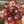 Load and play video in Gallery viewer, Sparkly Spinning Flower Pendant - Red and White with Black Opal Center
