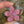 Load and play video in Gallery viewer, Gem Shaker Flower - Blush
