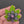 Load and play video in Gallery viewer, 420 Pendant - Spinner Hybrid
