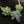 Load image into Gallery viewer, Canna Leaf Linked Choker Chain Necklace
