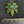 Load image into Gallery viewer, 420 Pendant 2/5
