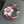 Load image into Gallery viewer, Sparkle Moonflora in Gold Ruby / Gold / Pink
