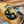 Load image into Gallery viewer, Moonflora Spinner in Black and Gold
