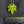 Load image into Gallery viewer, 420 Pendant 5/5 mini
